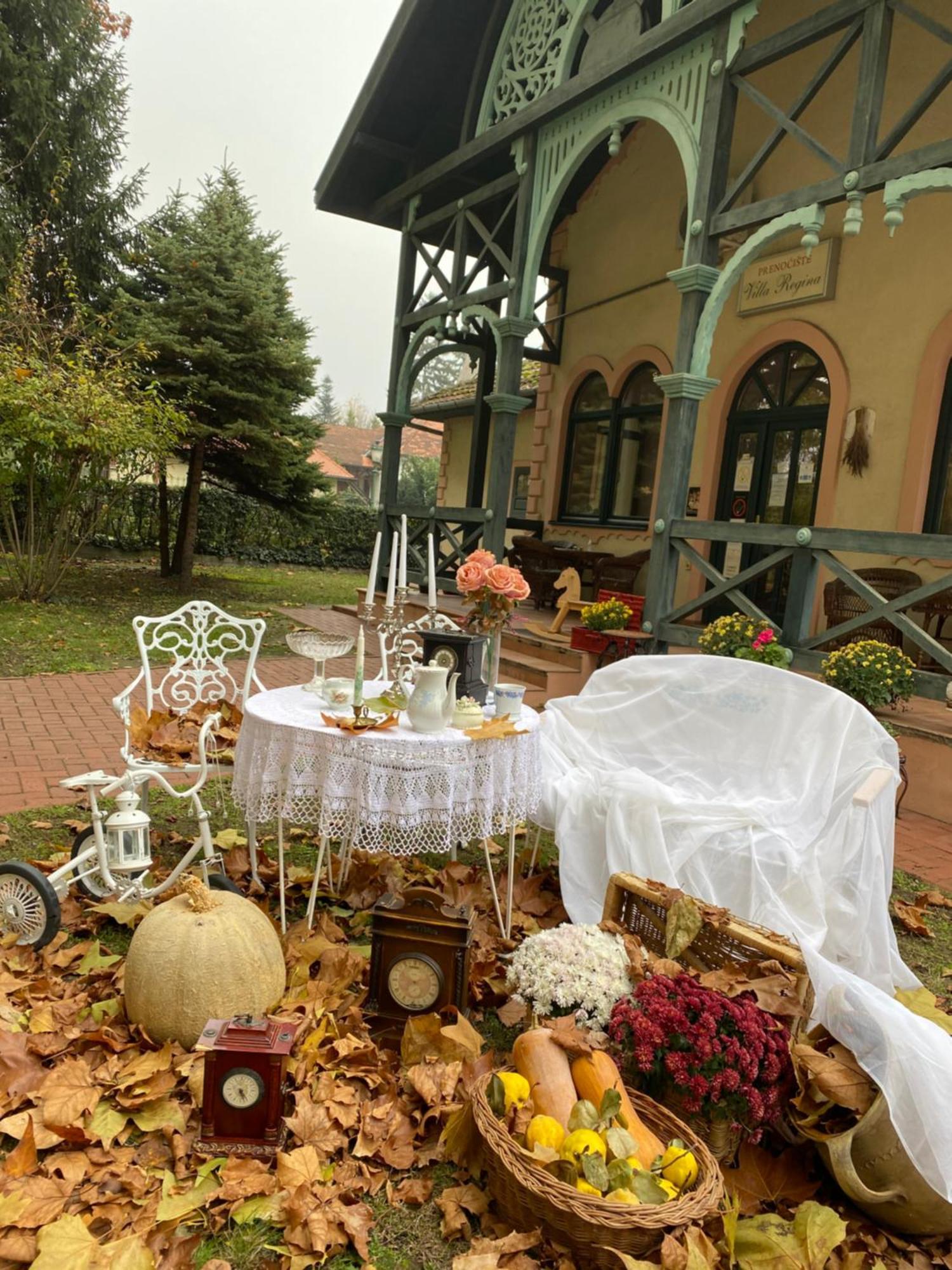Vila Regina Palic Luaran gambar