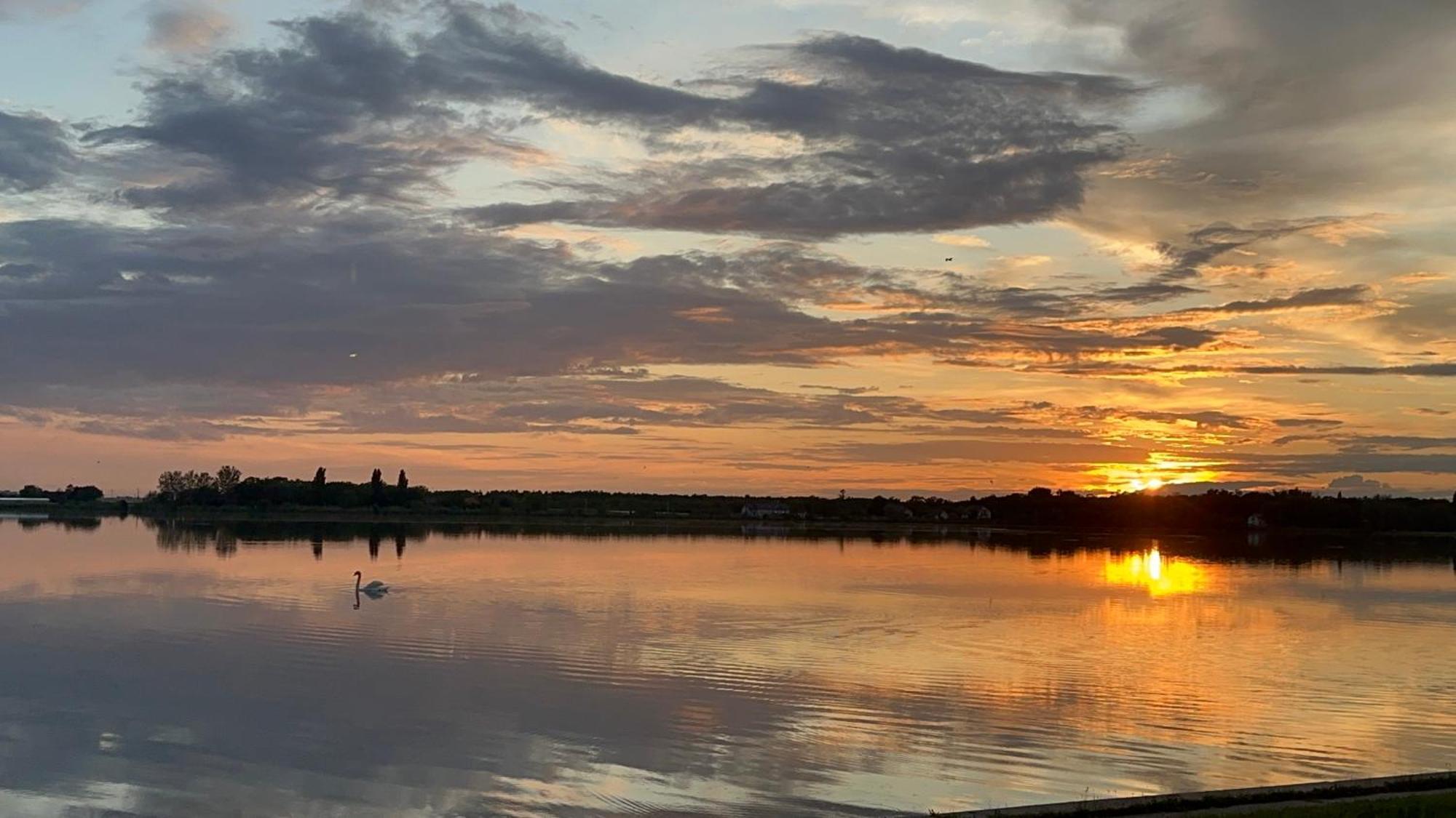 Vila Regina Palic Luaran gambar
