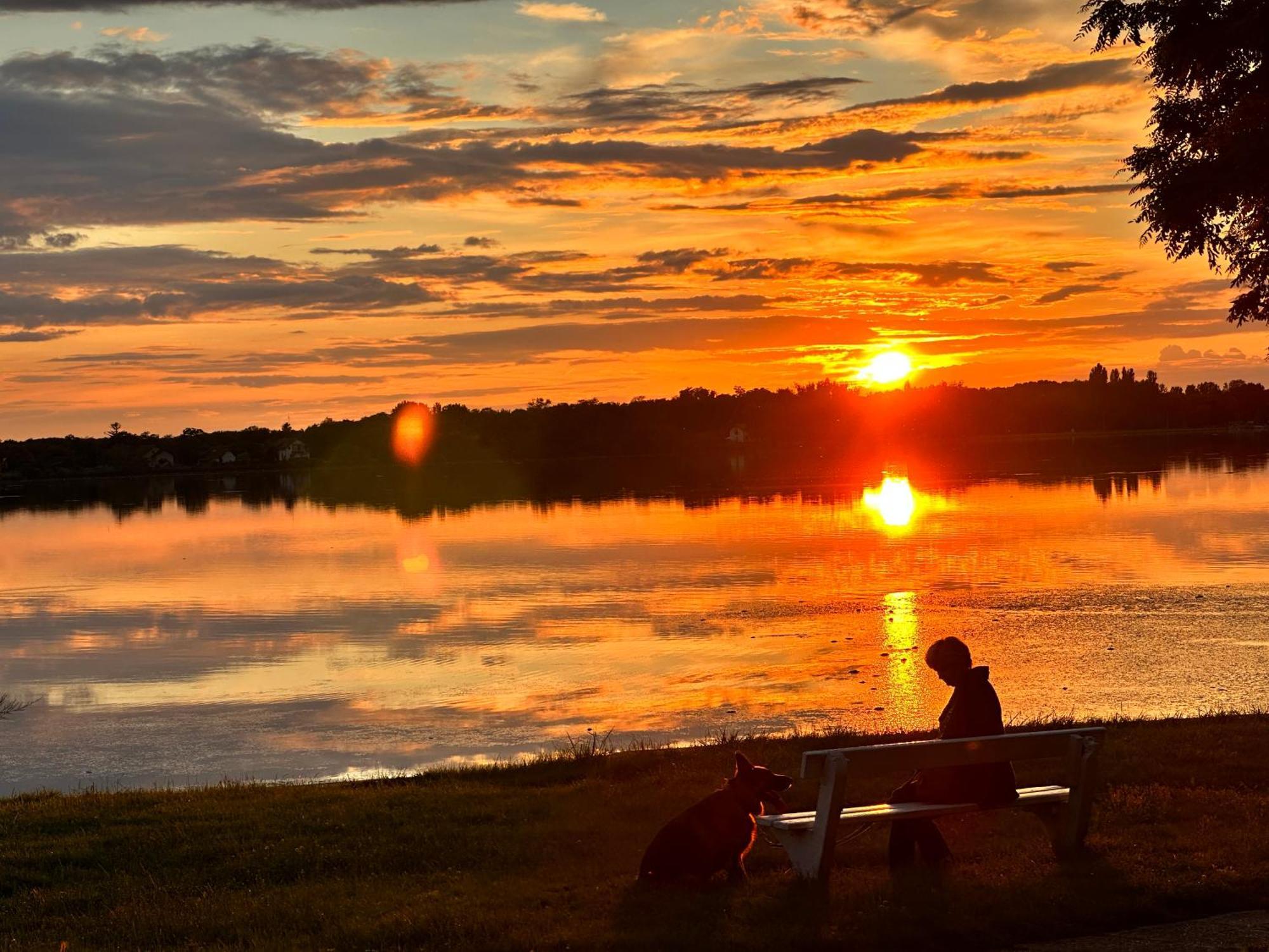 Vila Regina Palic Luaran gambar