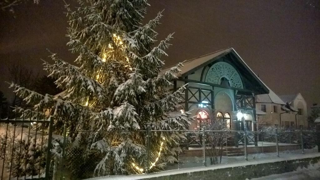 Vila Regina Palic Luaran gambar