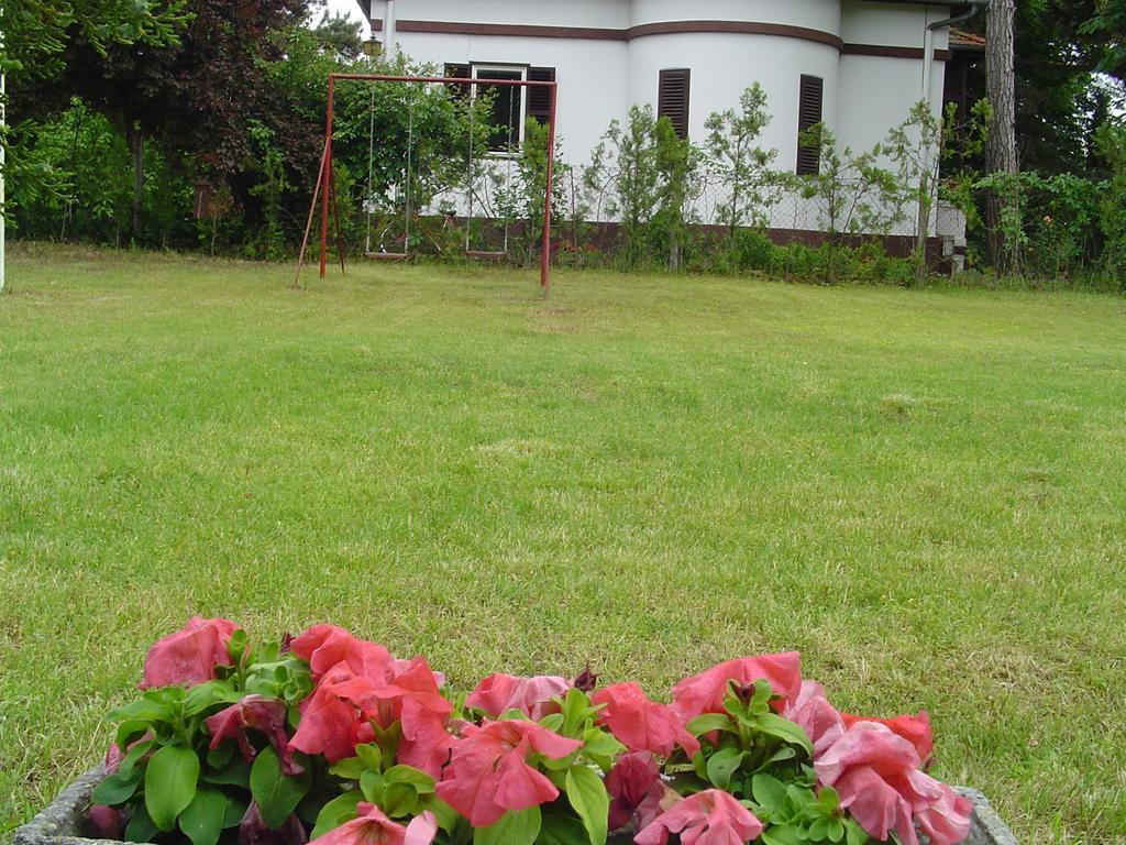 Vila Regina Palic Bilik gambar